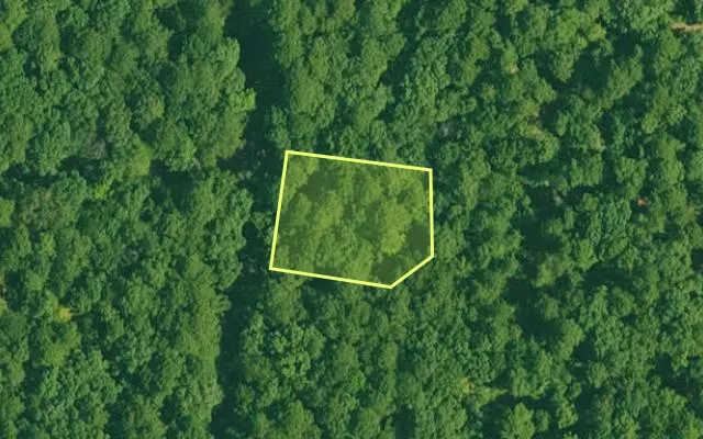 Aerial view of GARLAND County parcel 60704 — Arkansas post-auction with approximate parcel outline