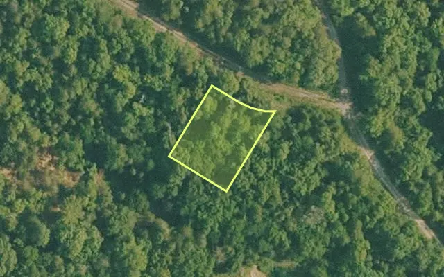 Aerial view of BAXTER County parcel 010-02401-000 — Arkansas post-auction with approximate parcel outline