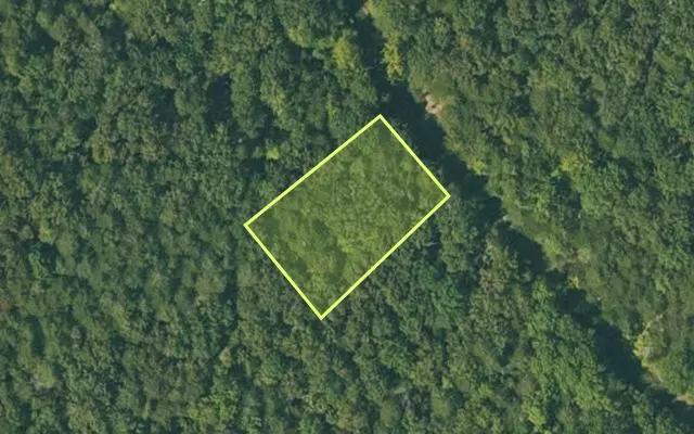 Aerial view of FULTON County parcel 335-18620-000 — Arkansas post-auction with approximate parcel outline