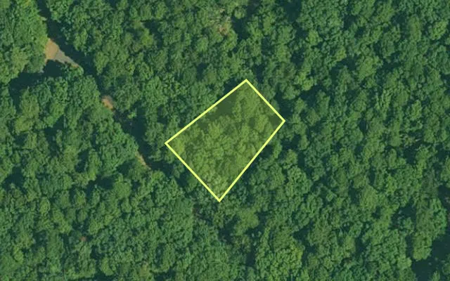 Aerial view of GARLAND County parcel 61825 — Arkansas post-auction with approximate parcel outline
