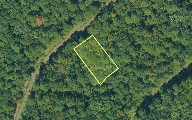 Aerial view of CLEBURNE County parcel 600-03774-000 — Arkansas post-auction with approximate parcel outline