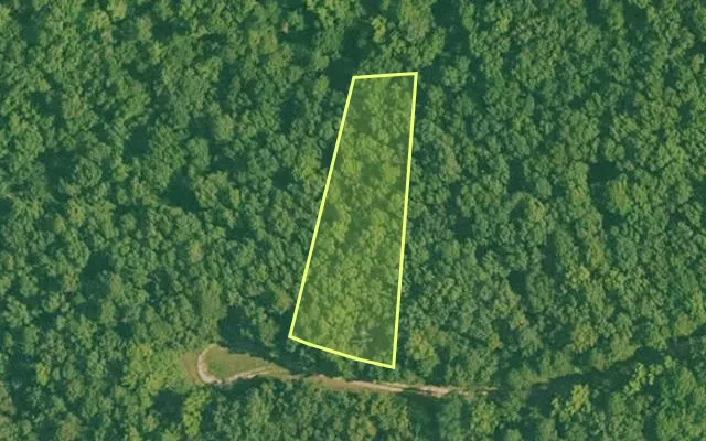 Aerial view of GARLAND County parcel 75101 — Arkansas post-auction with approximate parcel outline