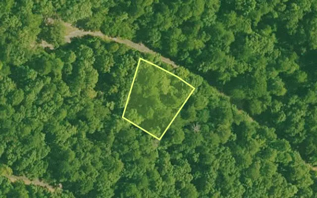 Aerial view of SALINE County parcel 640-00022-000 — Arkansas post-auction with approximate parcel outline