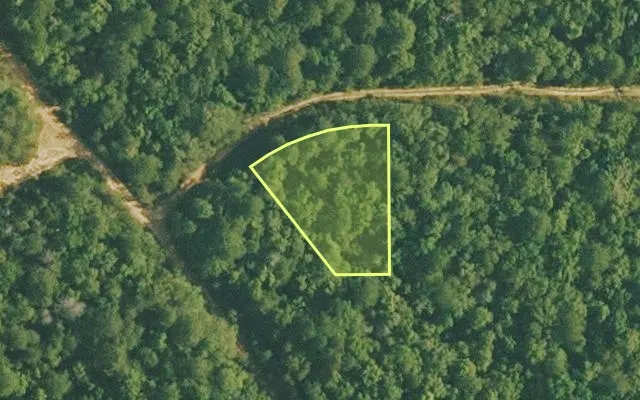Aerial view of VAN BUREN County parcel 4500-01420-0000 — Arkansas post-auction with approximate parcel outline