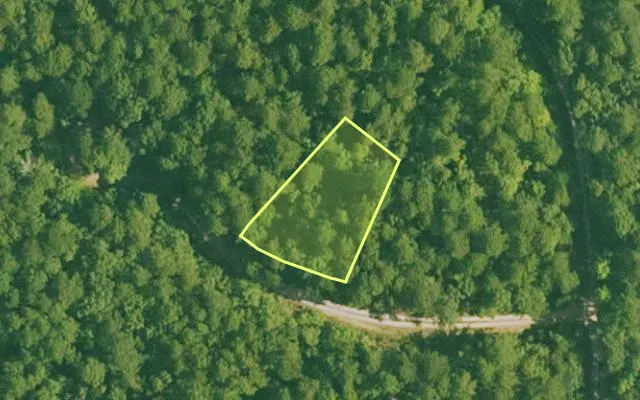 Aerial view of SALINE County parcel 420-00021-000 — Arkansas post-auction with approximate parcel outline