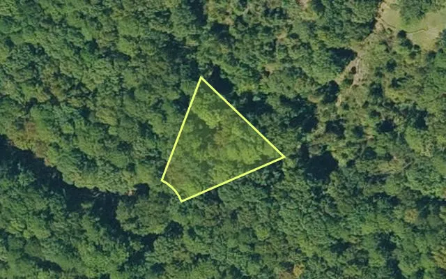 Aerial view of VAN BUREN County parcel 4300-03147-0000 — Arkansas post-auction with approximate parcel outline