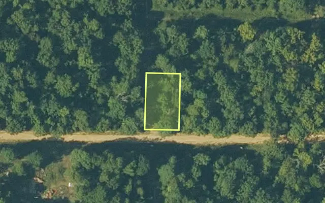 Aerial view of FULTON County parcel 687-25628-000 — Arkansas post-auction with approximate parcel outline