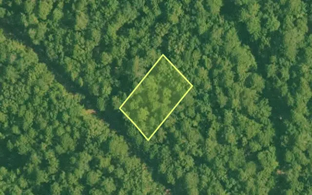 Aerial view of SALINE County parcel 496-00182-000 — Arkansas post-auction with approximate parcel outline