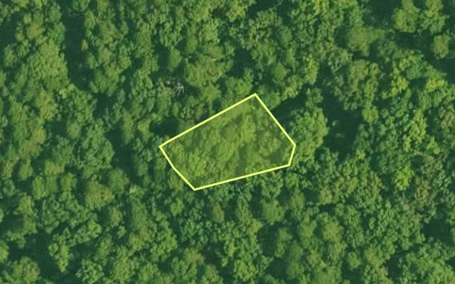 Aerial view of SALINE County parcel 456-00203-000 — Arkansas post-auction with approximate parcel outline