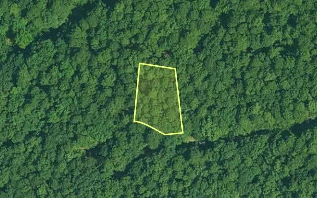 Aerial view of GARLAND County parcel 64286 — Arkansas post-auction with approximate parcel outline