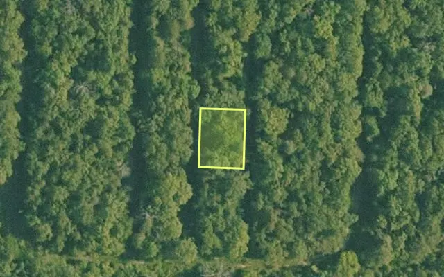 Aerial view of BAXTER County parcel 010-02354-000 — Arkansas post-auction with approximate parcel outline