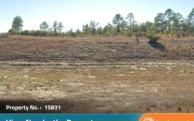 LandCentral listing preview for 0.22 acres in Levy, FL — 15831