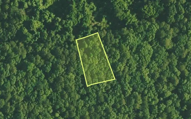 Aerial view of VAN BUREN County parcel 4400-20266-0000 — Arkansas post-auction with approximate parcel outline
