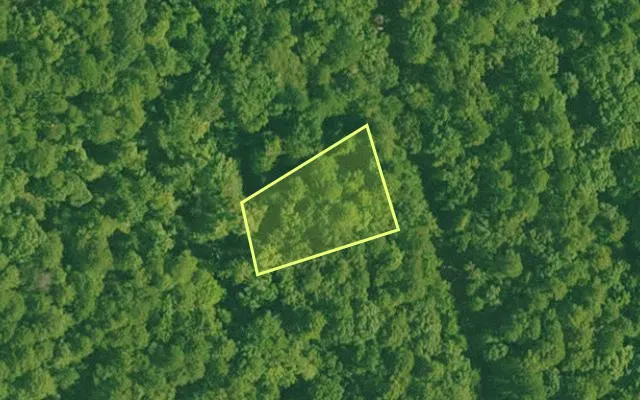 Aerial view of SALINE County parcel 536-00114-000 — Arkansas post-auction with approximate parcel outline