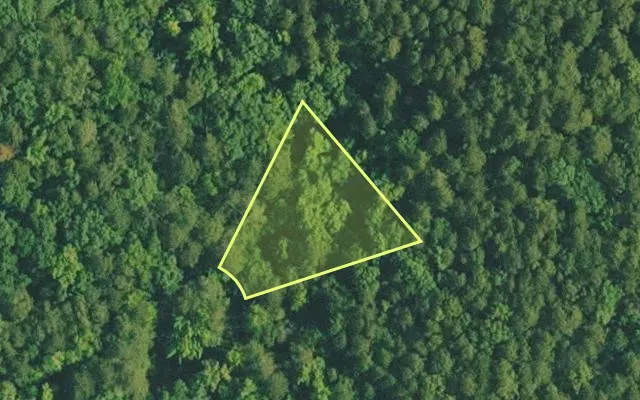 Aerial view of VAN BUREN County parcel 4200-02424-0000 — Arkansas post-auction with approximate parcel outline