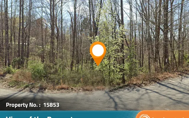 LandCentral listing preview for 1.61 acres in Forsyth, NC — 15853