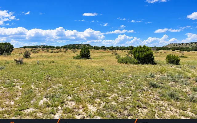 LandCentral listing preview for 40 acres in Las Animas, CO — 15856