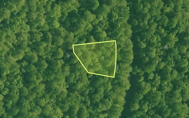 Aerial view of SALINE County parcel 392-00027-000 — Arkansas post-auction with approximate parcel outline