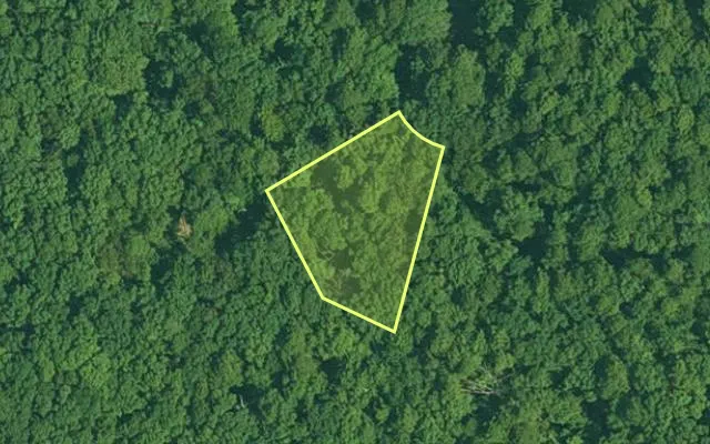 Aerial view of GARLAND County parcel 61808 — Arkansas post-auction with approximate parcel outline
