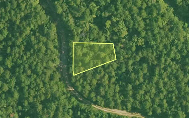 Aerial view of SALINE County parcel 448-00016-000 — Arkansas post-auction with approximate parcel outline