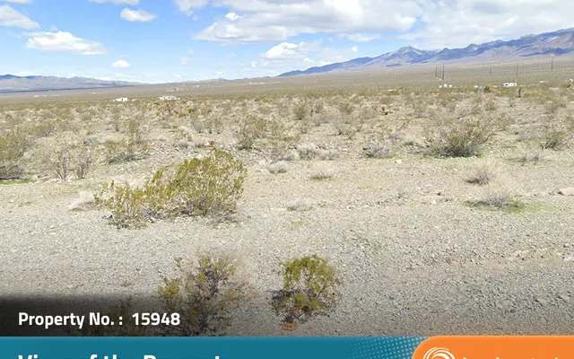LandCentral listing preview for 0.46 acres in Nye, NV — 15948