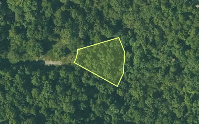Aerial view of FULTON County parcel 230-14681-000 — Arkansas post-auction with approximate parcel outline