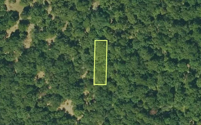 Aerial view of IZARD County parcel 800-06162-000 — Arkansas post-auction with approximate parcel outline