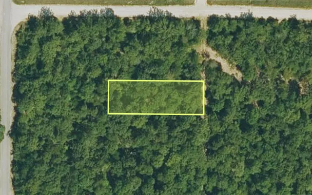 Aerial view of IZARD County parcel 800-00278-000 — Arkansas post-auction with approximate parcel outline