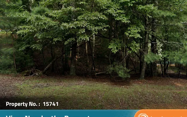 LandCentral listing preview for 0.68 acres in Gilmer, GA — 15741