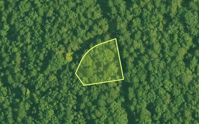 Aerial view of SALINE County parcel 648-00011-000 — Arkansas post-auction with approximate parcel outline