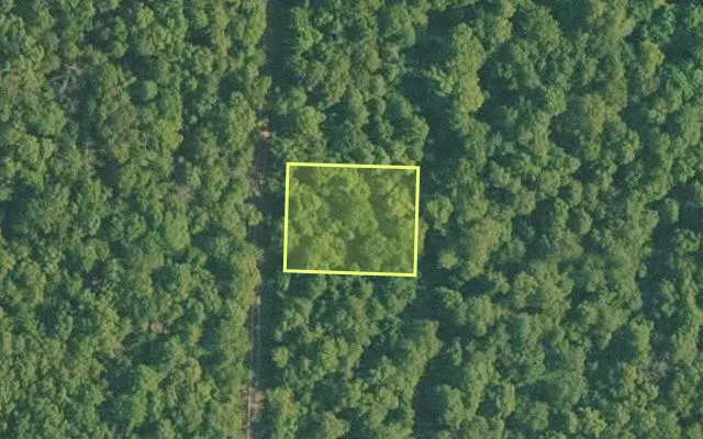 Aerial view of BAXTER County parcel 010-00966-000 — Arkansas post-auction with approximate parcel outline