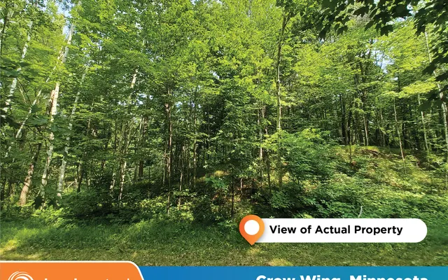 LandCentral listing preview for 0.54 acres in Crow Wing, MN — 14005