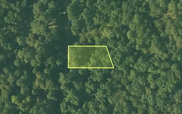 Aerial view of SHARP County parcel 416-00196-000 — Arkansas post-auction with approximate parcel outline