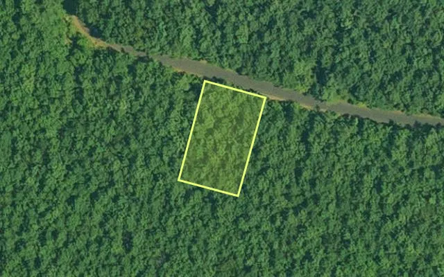 Aerial view of GARLAND County parcel 63958 — Arkansas post-auction with approximate parcel outline