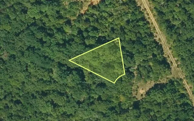 Aerial view of IZARD County parcel 800-04127-000 — Arkansas post-auction with approximate parcel outline