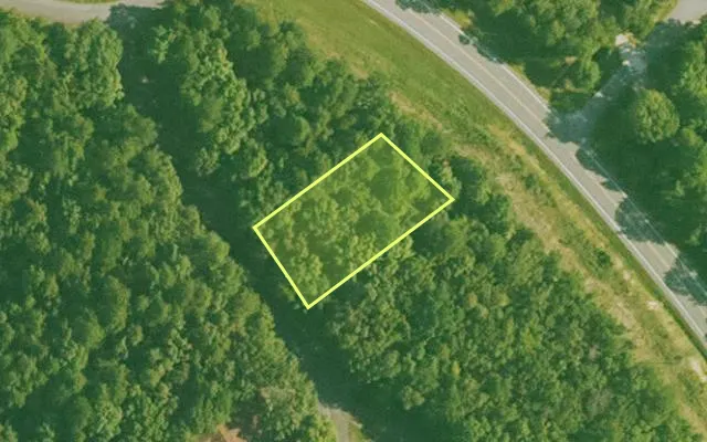 Aerial view of SALINE County parcel 560-00002-000 — Arkansas post-auction with approximate parcel outline