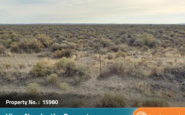 LandCentral listing preview for 15 acres in Lake, OR — 15980