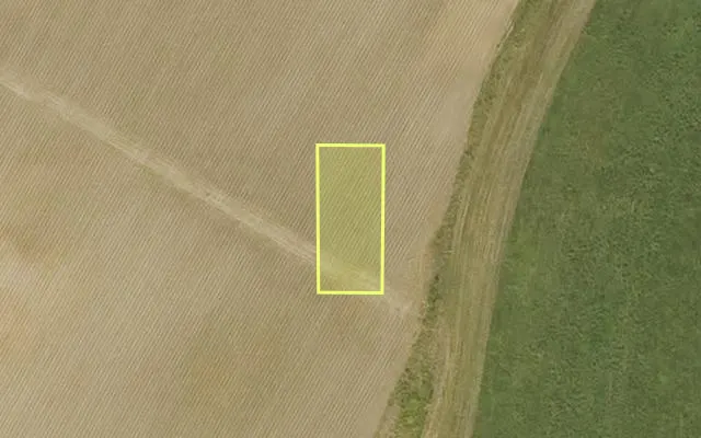 Aerial view of CHICOT County parcel 010-00207-000 — Arkansas post-auction with approximate parcel outline