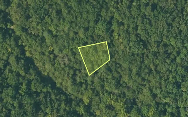 Aerial view of FULTON County parcel 110-10448-000 — Arkansas post-auction with approximate parcel outline