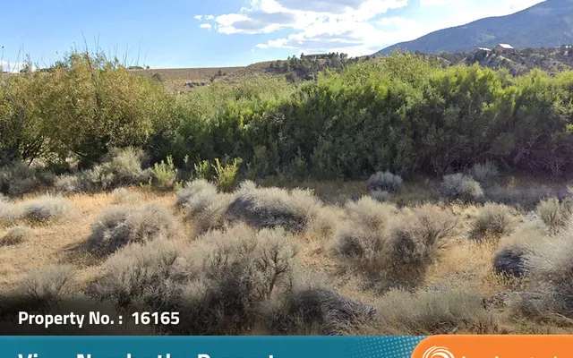 LandCentral listing preview for 0.3 acres in Lander, NV — 16165