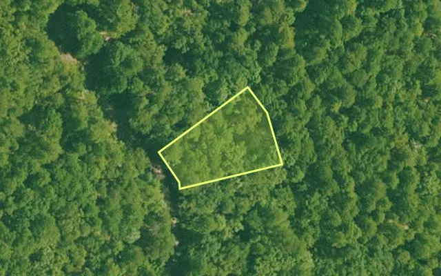 Aerial view of SALINE County parcel 652-00002-000 — Arkansas post-auction with approximate parcel outline