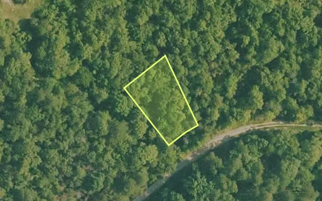 Aerial view of BAXTER County parcel 010-01608-012 — Arkansas post-auction with approximate parcel outline