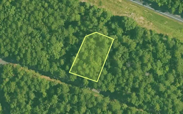 Aerial view of SALINE County parcel 672-00204-000 — Arkansas post-auction with approximate parcel outline