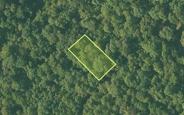 Aerial view of SHARP County parcel 386-00092-000 — Arkansas post-auction with approximate parcel outline