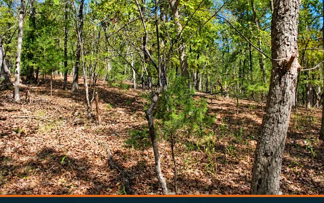 LandCentral listing preview for 0.32 acres in Camden, MO — 12601