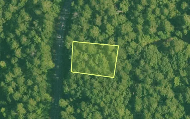 Aerial view of SALINE County parcel 460-00084-000 — Arkansas post-auction with approximate parcel outline