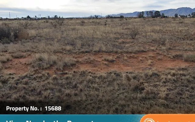 LandCentral listing preview for 0.83 acres in Cochise, AZ — 15688