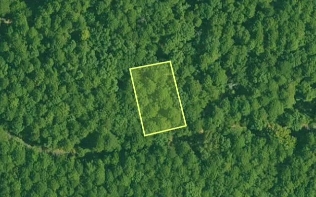 Aerial view of GARLAND County parcel 67243 — Arkansas post-auction with approximate parcel outline