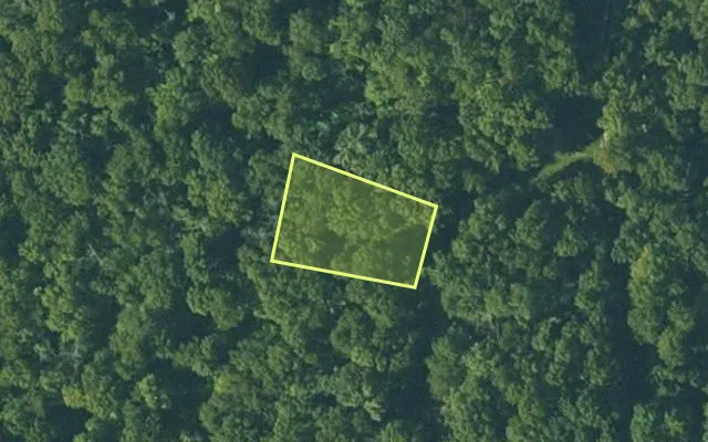 Aerial view of FULTON County parcel 415-21779-000 — Arkansas post-auction with approximate parcel outline