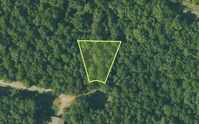 Aerial view of FULTON County parcel 290-17101-000 — Arkansas post-auction with approximate parcel outline